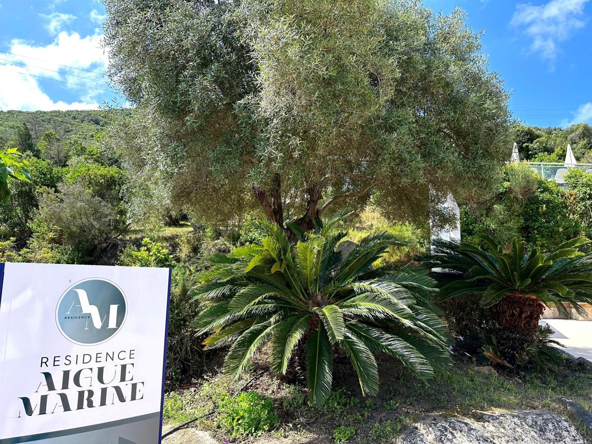 Aigue Marine Aparthotel