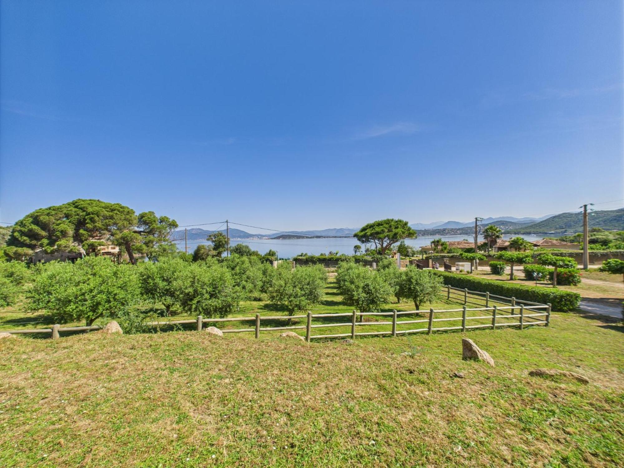 Résidence Aigue Marine Coti-Chiavari (Corsica)